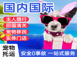 晋江航空运输国际宠物托运 【国